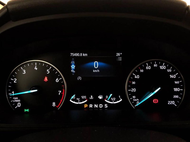 Ford EcoSport usata a Torino (13)