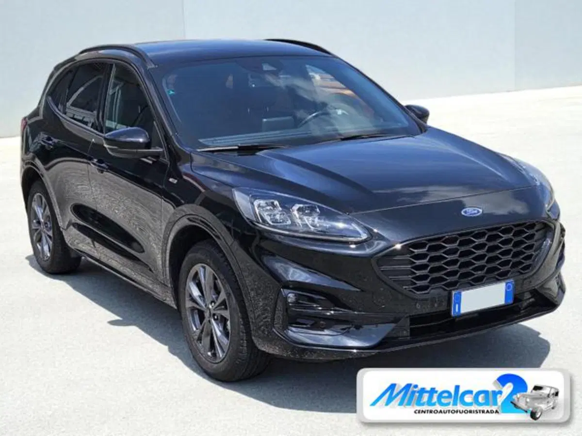 Ford Kuga usata a Udine (2)