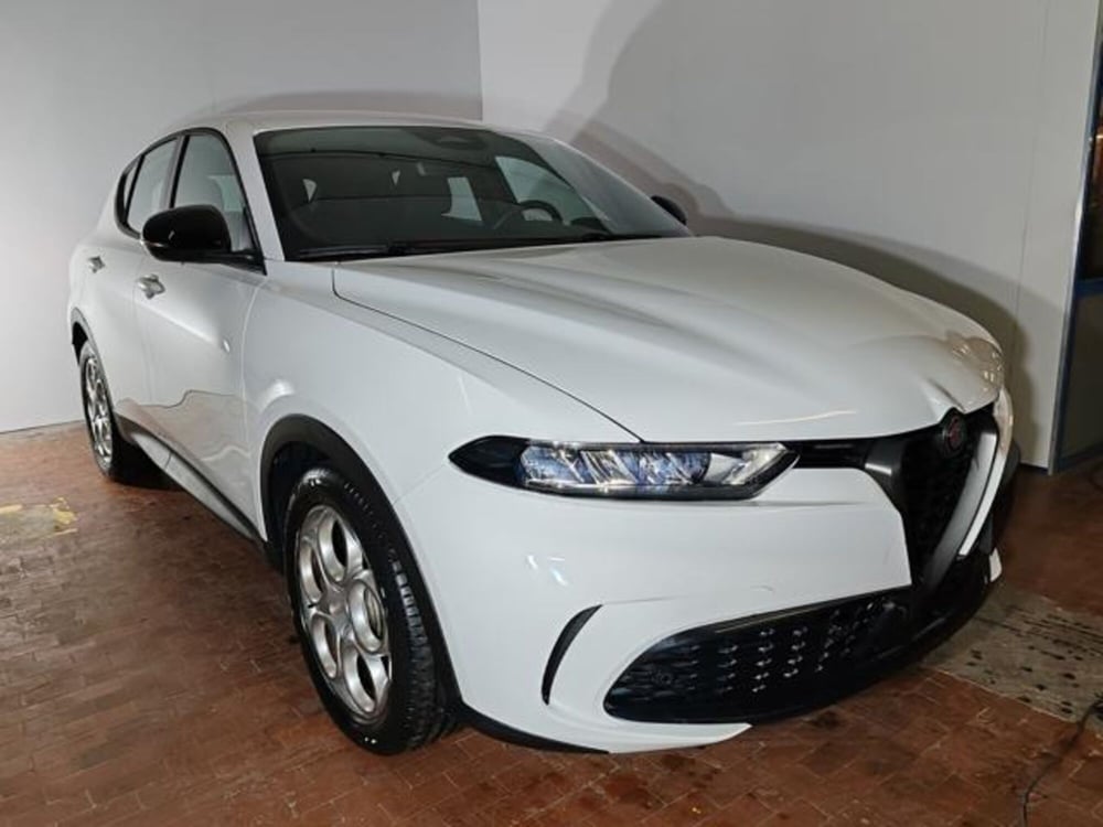 Alfa Romeo Tonale usata a Torino