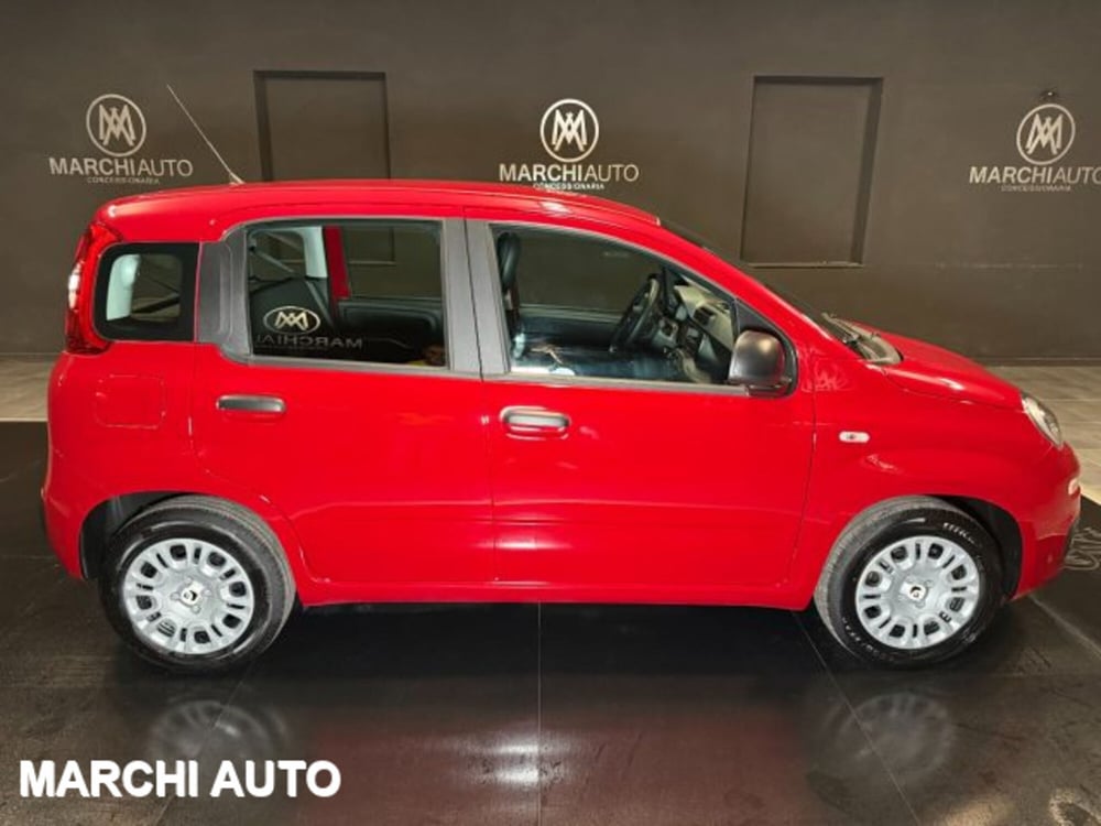 Fiat Panda nuova a Perugia (4)