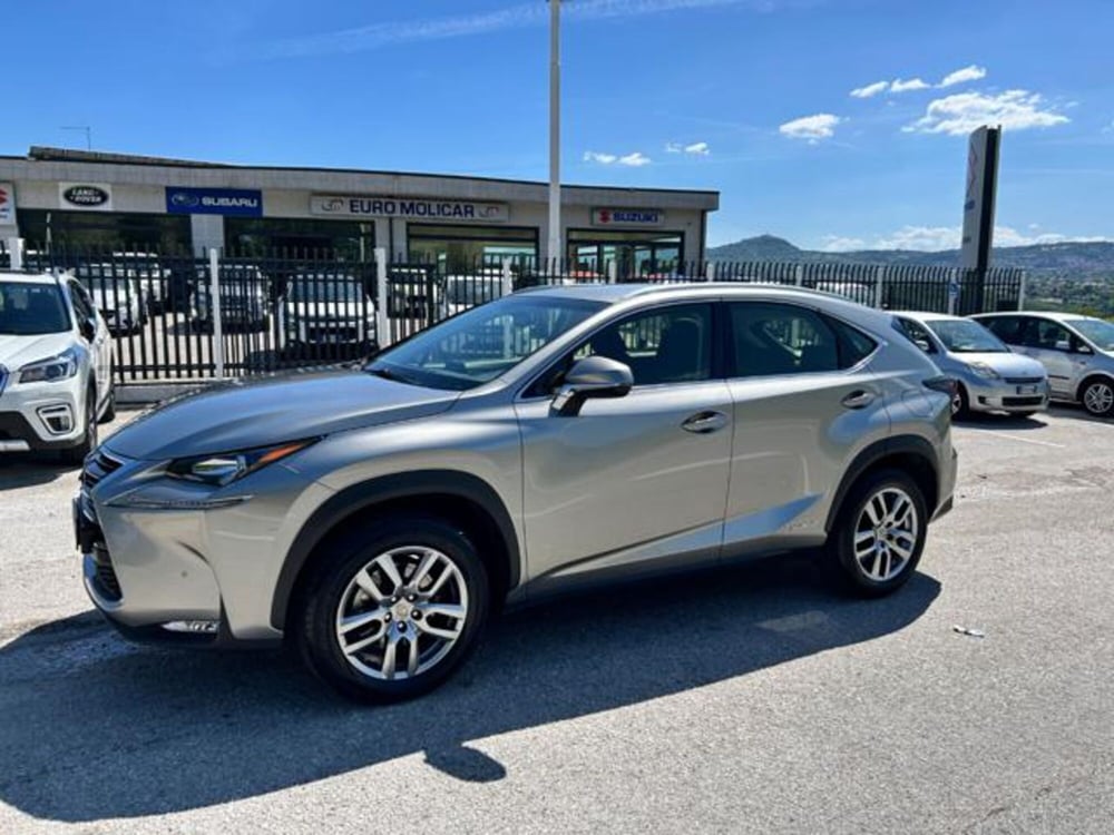 Lexus NX usata a Campobasso