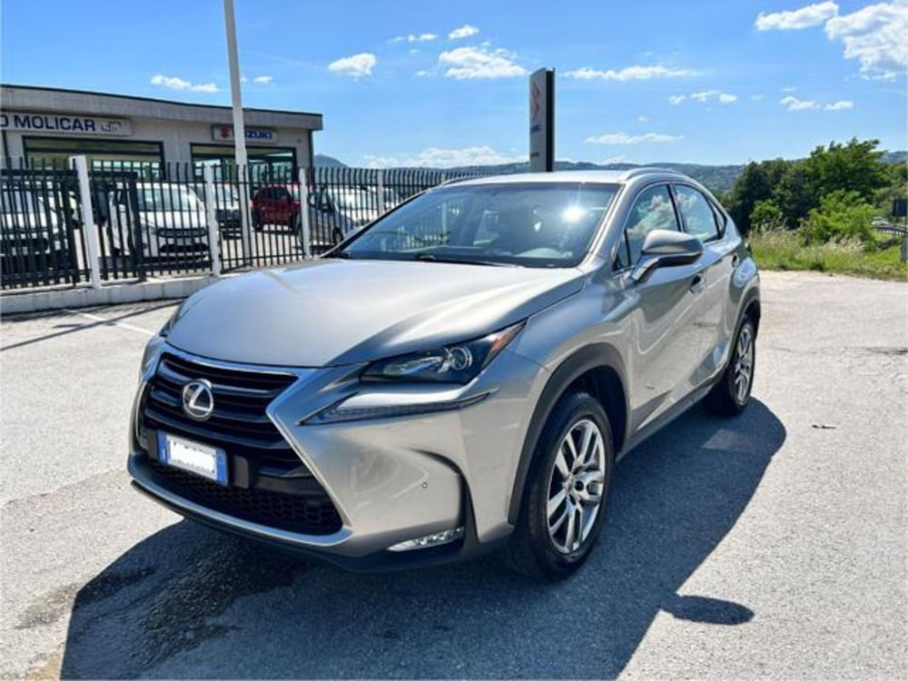 Lexus NX usata a Campobasso (11)