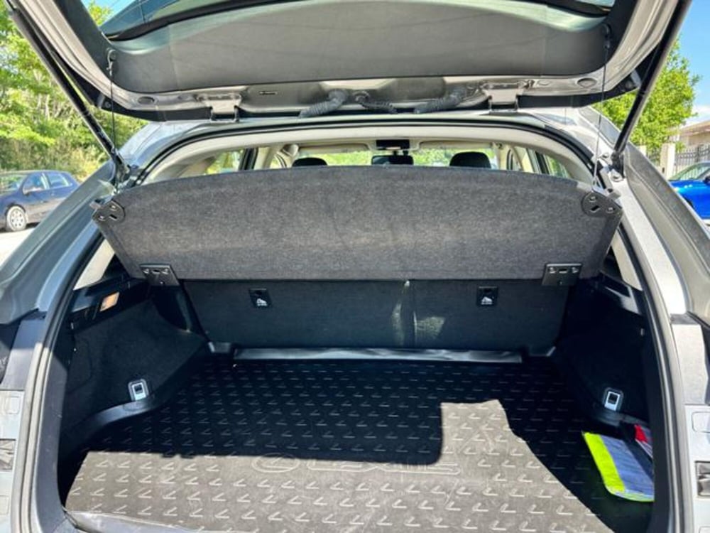Lexus NX usata a Campobasso (13)
