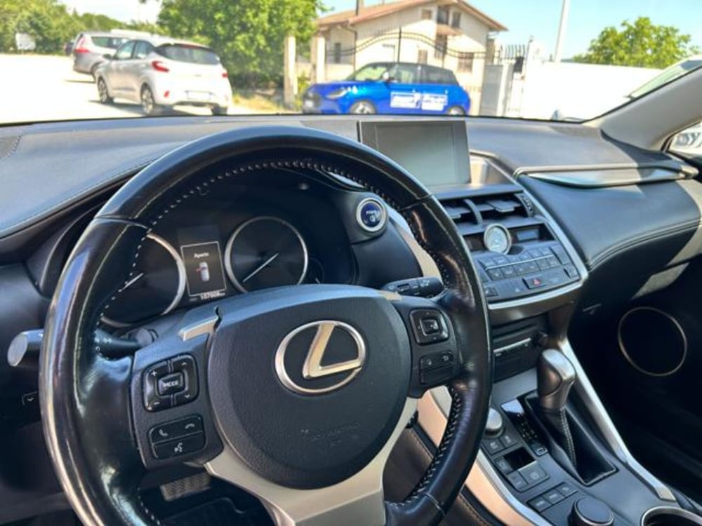 Lexus NX usata a Campobasso (15)