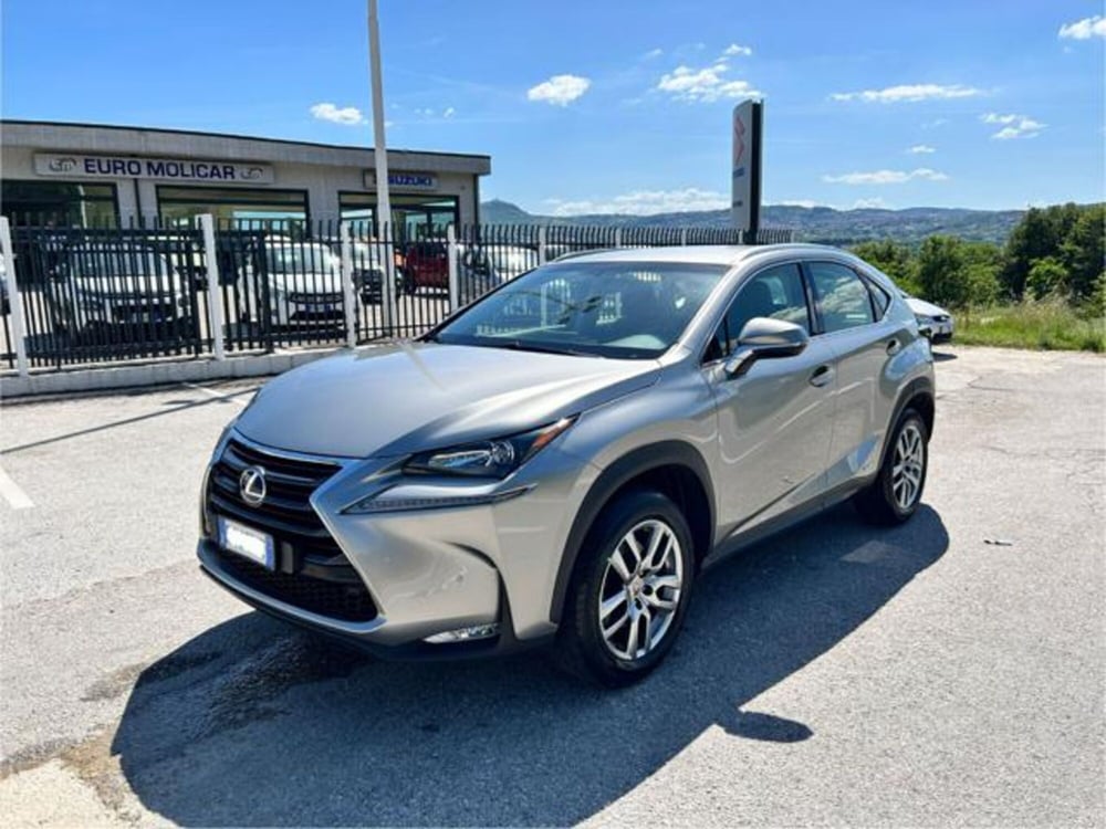 Lexus NX usata a Campobasso (18)