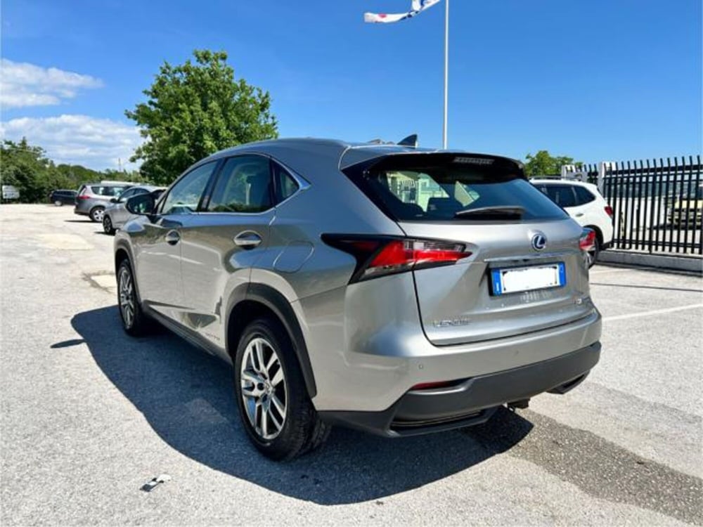 Lexus NX usata a Campobasso (3)