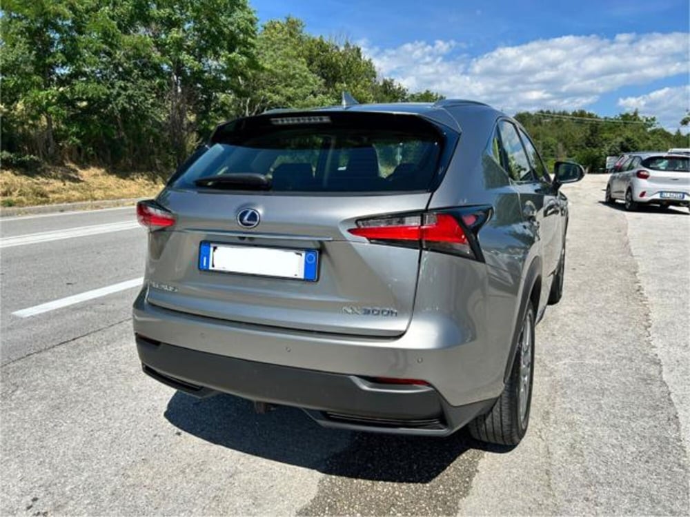 Lexus NX usata a Campobasso (4)
