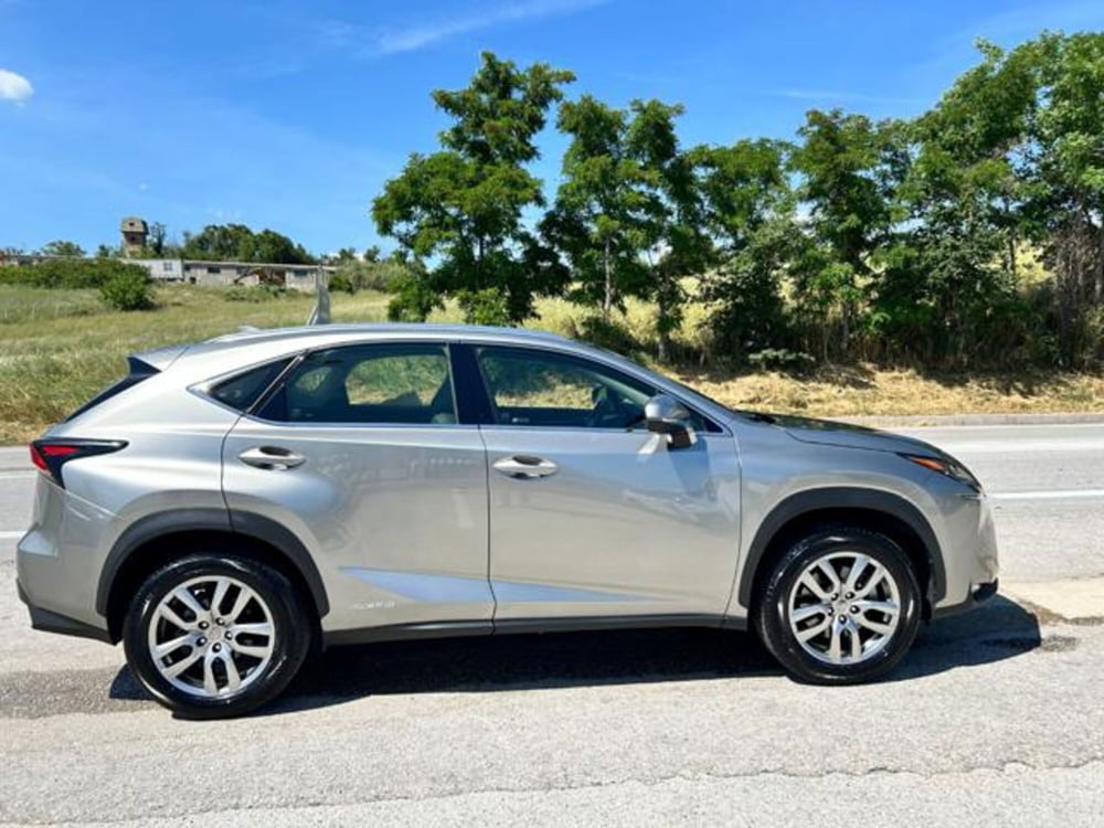 Lexus NX usata a Campobasso (6)