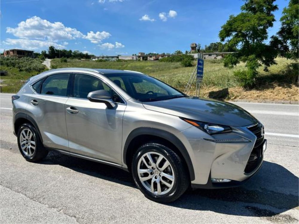 Lexus NX usata a Campobasso (7)