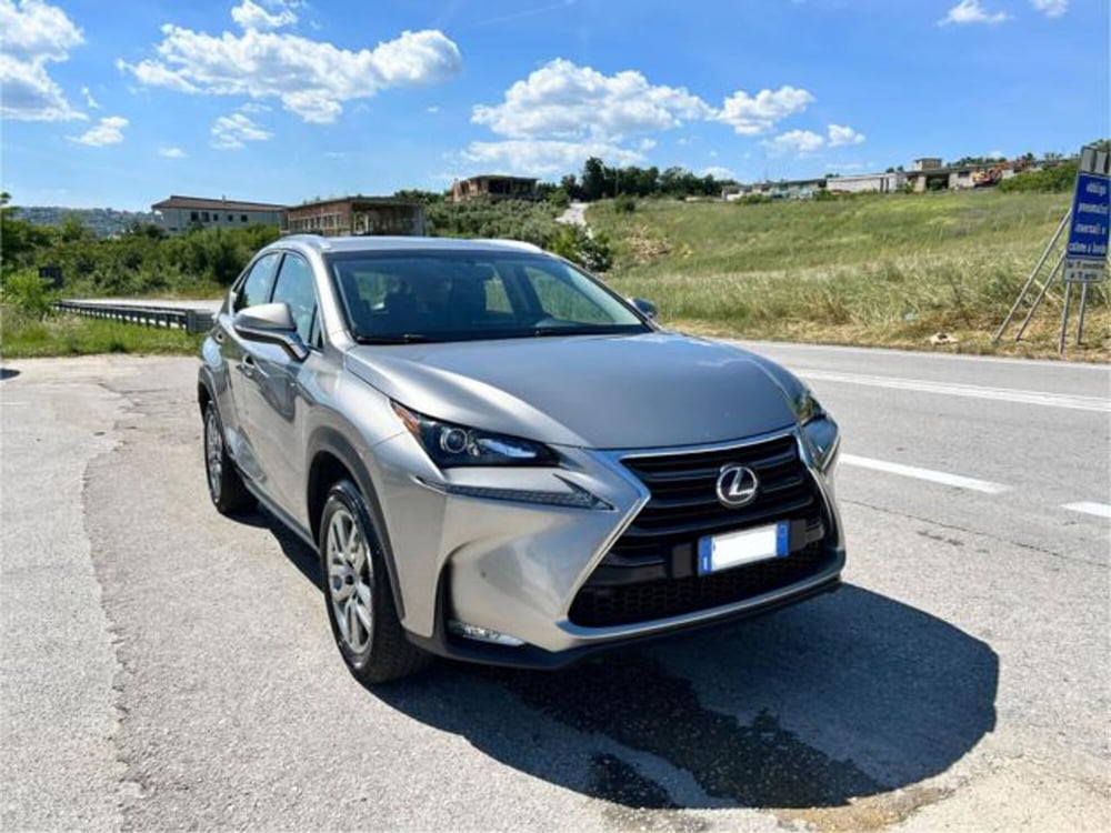 Lexus NX usata a Campobasso (8)