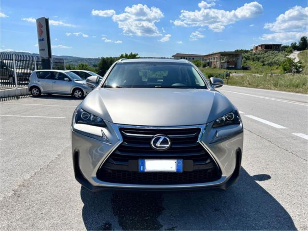 Lexus NX usata a Campobasso (9)