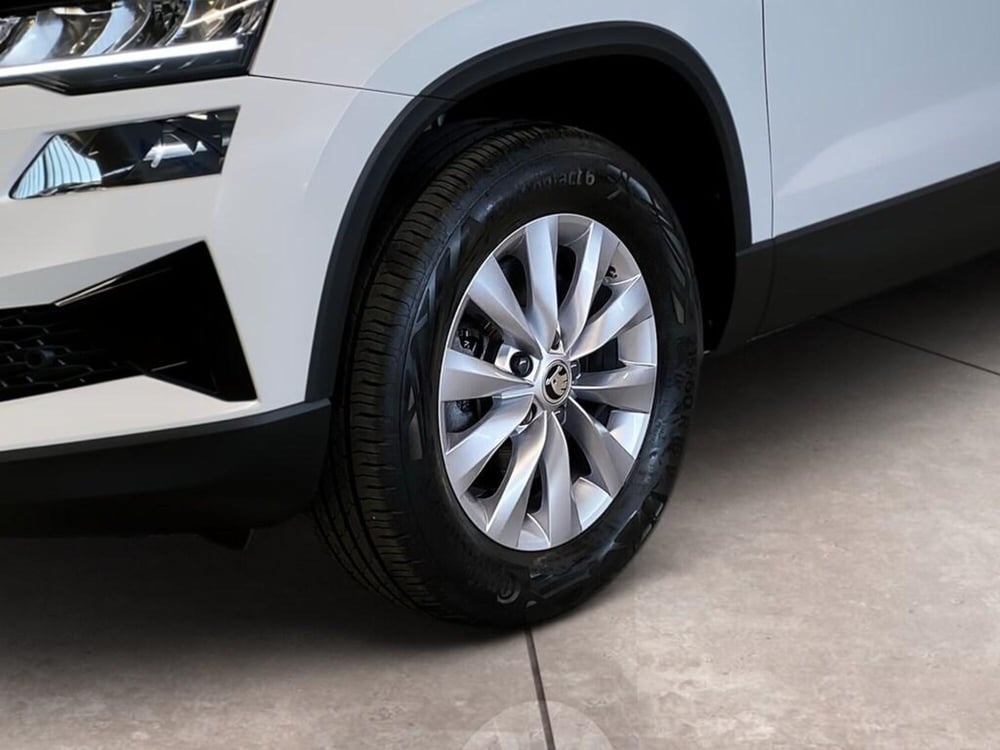 Skoda Karoq usata a Torino (15)