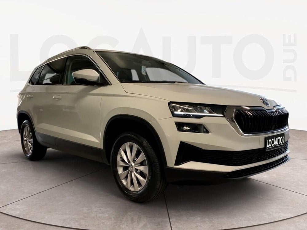Skoda Karoq usata a Torino (3)
