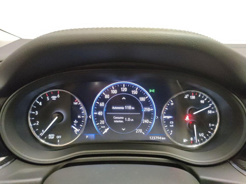 Opel Insignia Station Wagon usata a L'Aquila (18)