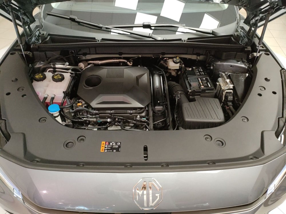 Mg HS usata a Teramo (10)