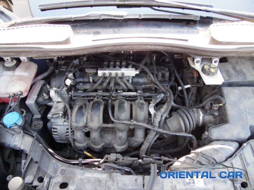 Ford C-Max usata a La Spezia (11)