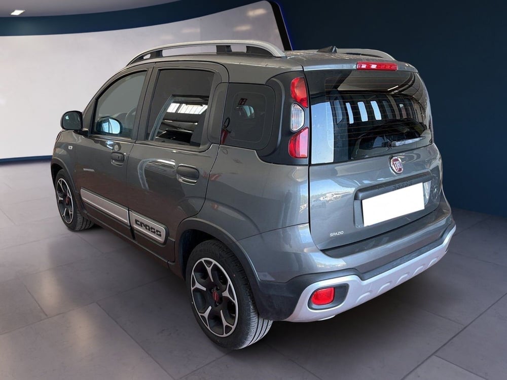 Fiat Panda Cross usata a Torino (5)