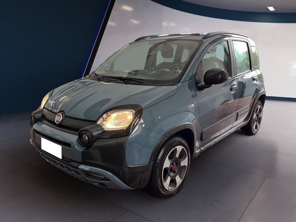 Fiat Panda Cross usata a Torino (2)