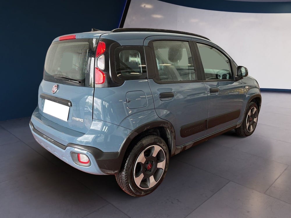 Fiat Panda Cross usata a Torino (4)