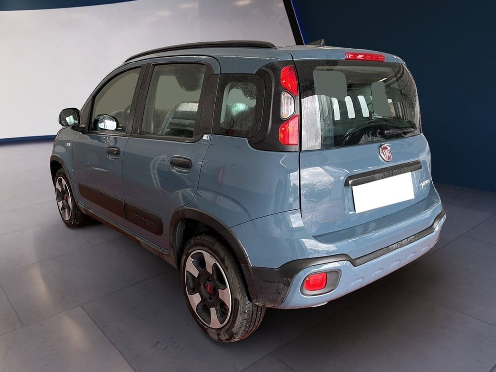 Fiat Panda Cross usata a Torino (5)