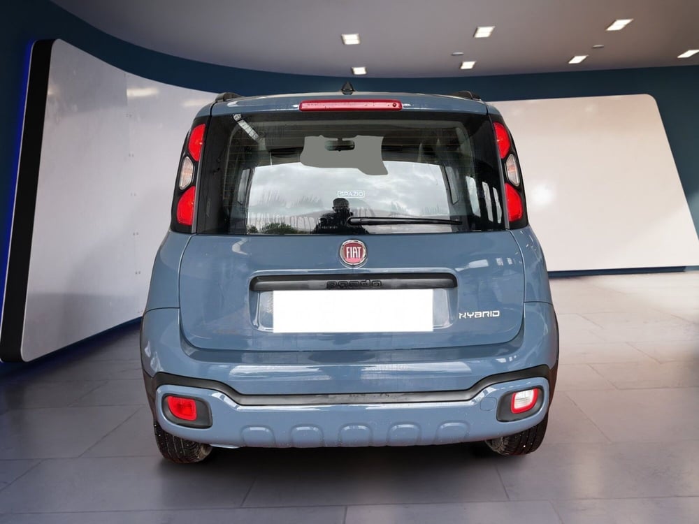 Fiat Panda Cross usata a Torino (6)