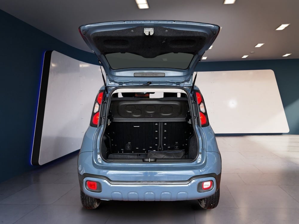 Fiat Panda Cross usata a Torino (7)