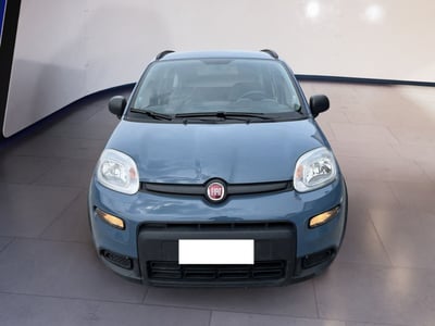 Fiat Panda 1.0 firefly hybrid s&amp;s 70cv 5p.ti del 2021 usata a Torino