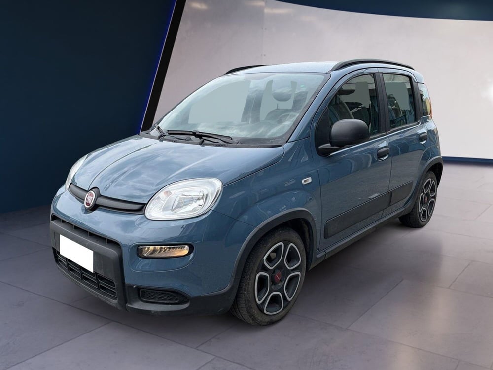 Fiat Panda usata a Torino (2)