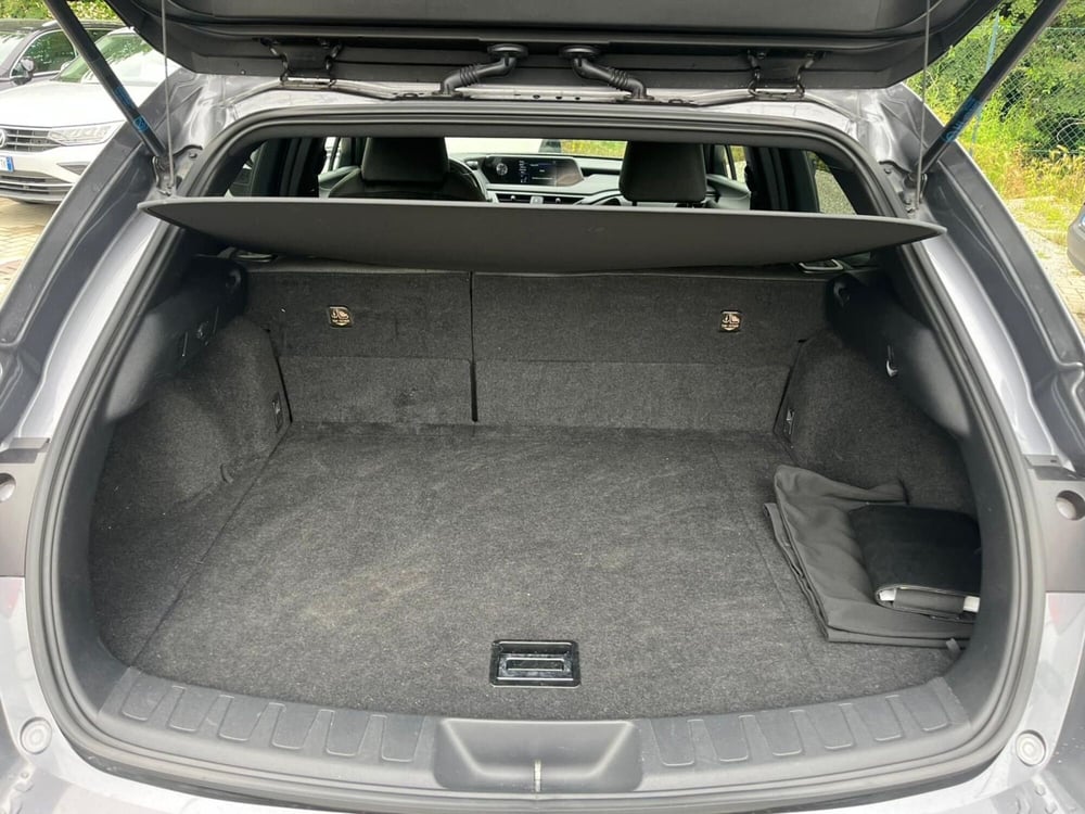 Lexus UX usata a Milano (10)