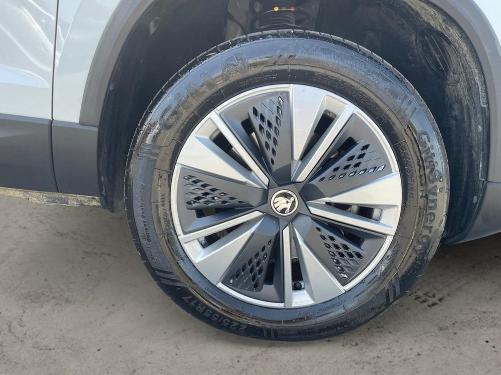 Skoda Karoq usata a Pistoia (14)
