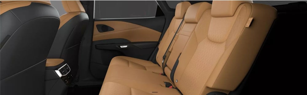 Lexus RX nuova a Cremona (14)