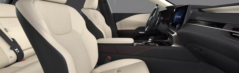 Lexus RX nuova a Cremona (15)