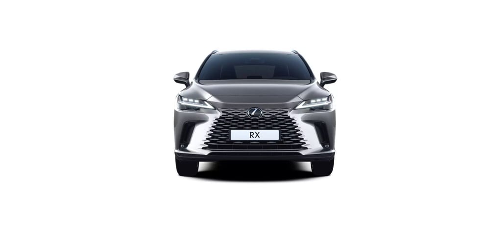 Lexus RX nuova a Cremona (3)