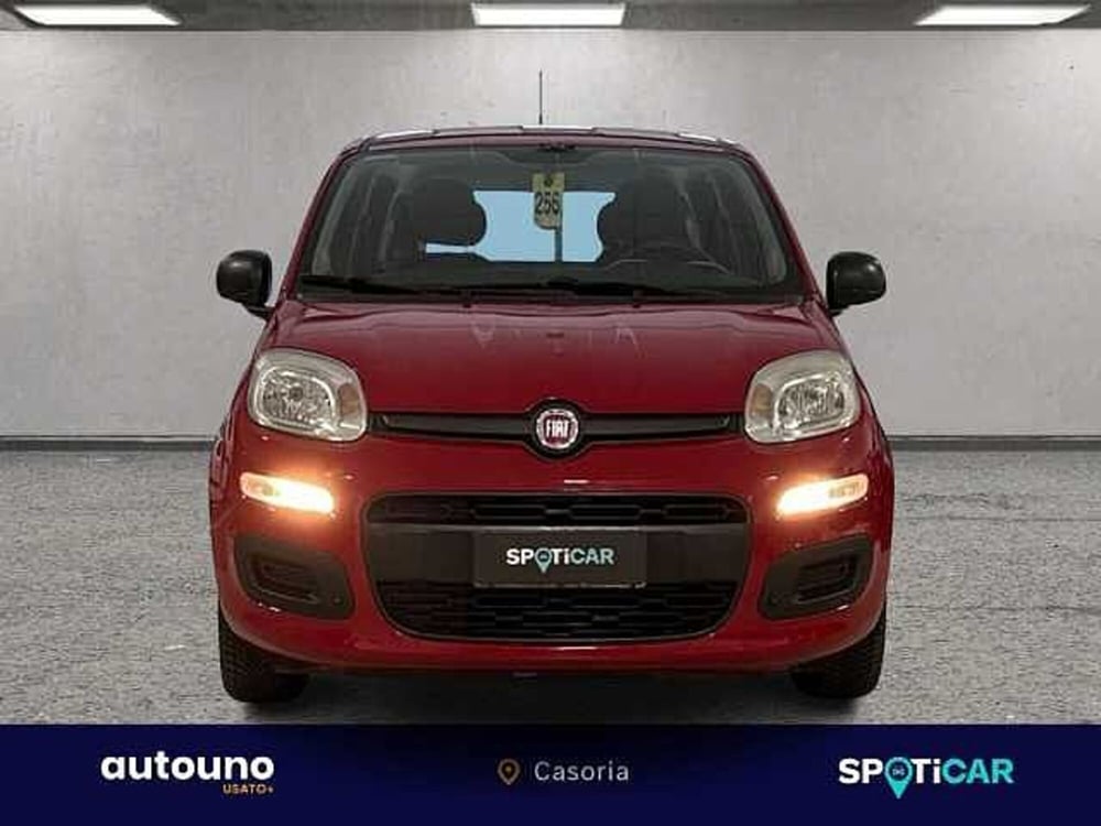 Fiat Panda usata a Napoli (7)