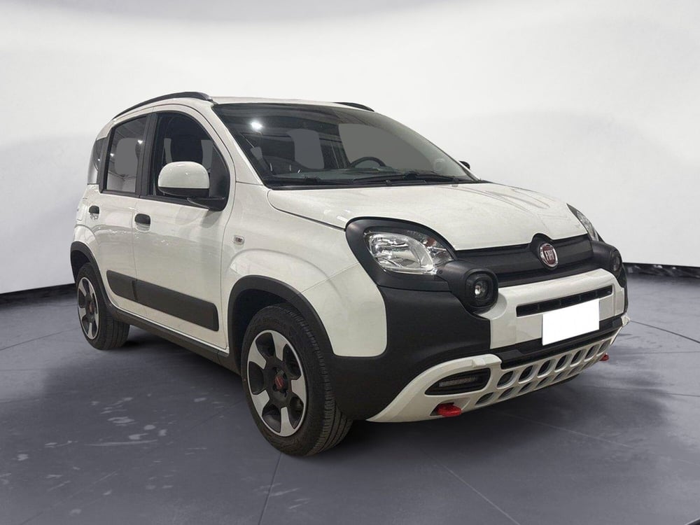 Fiat Panda Cross usata a Caltanissetta