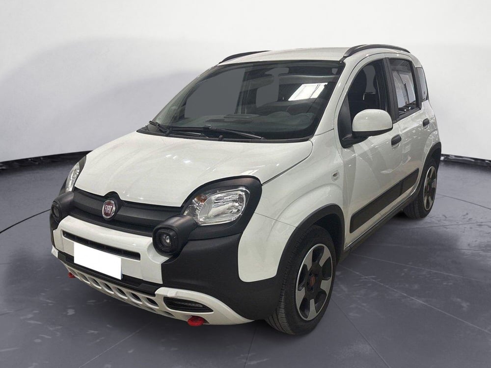 Fiat Panda Cross usata a Caltanissetta (2)