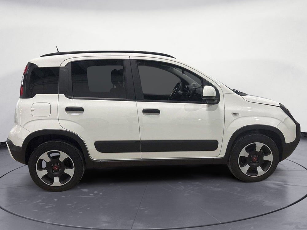 Fiat Panda Cross usata a Caltanissetta (3)