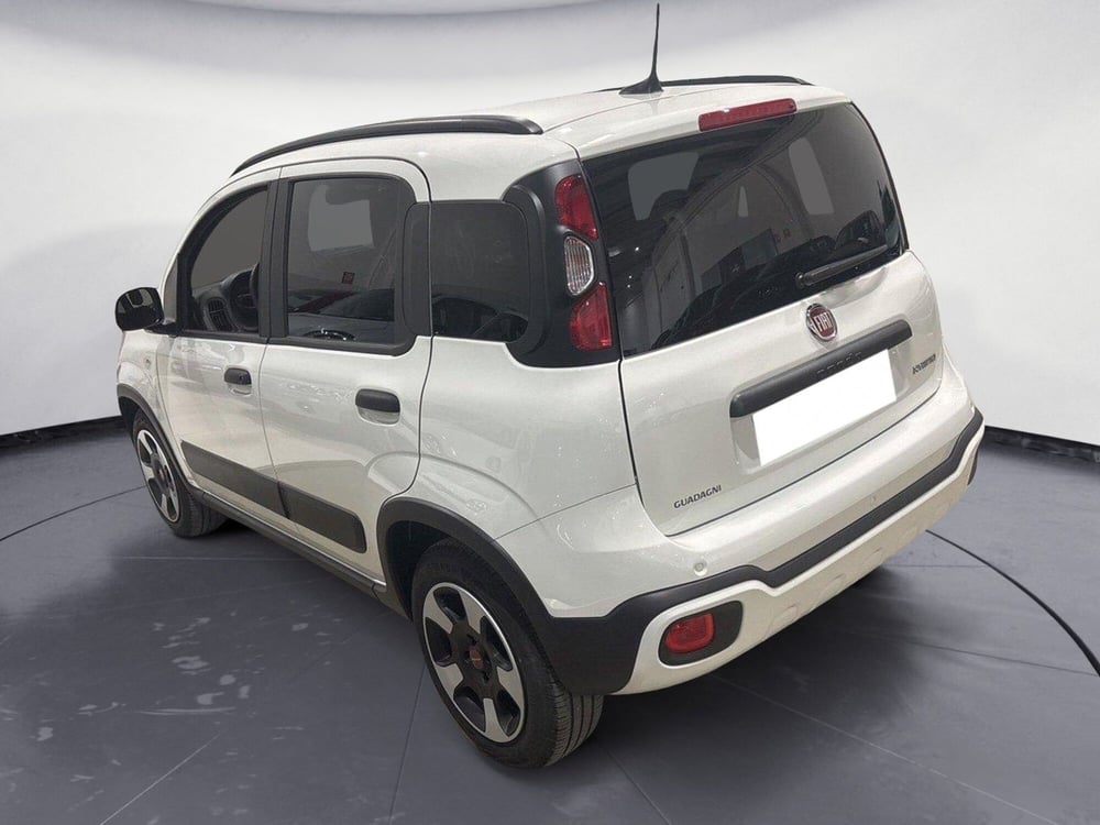 Fiat Panda Cross usata a Caltanissetta (4)