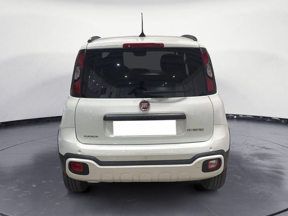 Fiat Panda Cross usata a Caltanissetta (5)