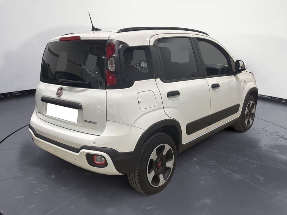 Fiat Panda Cross usata a Caltanissetta (7)
