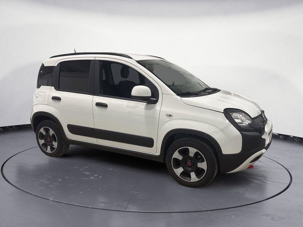 Fiat Panda Cross usata a Caltanissetta (8)