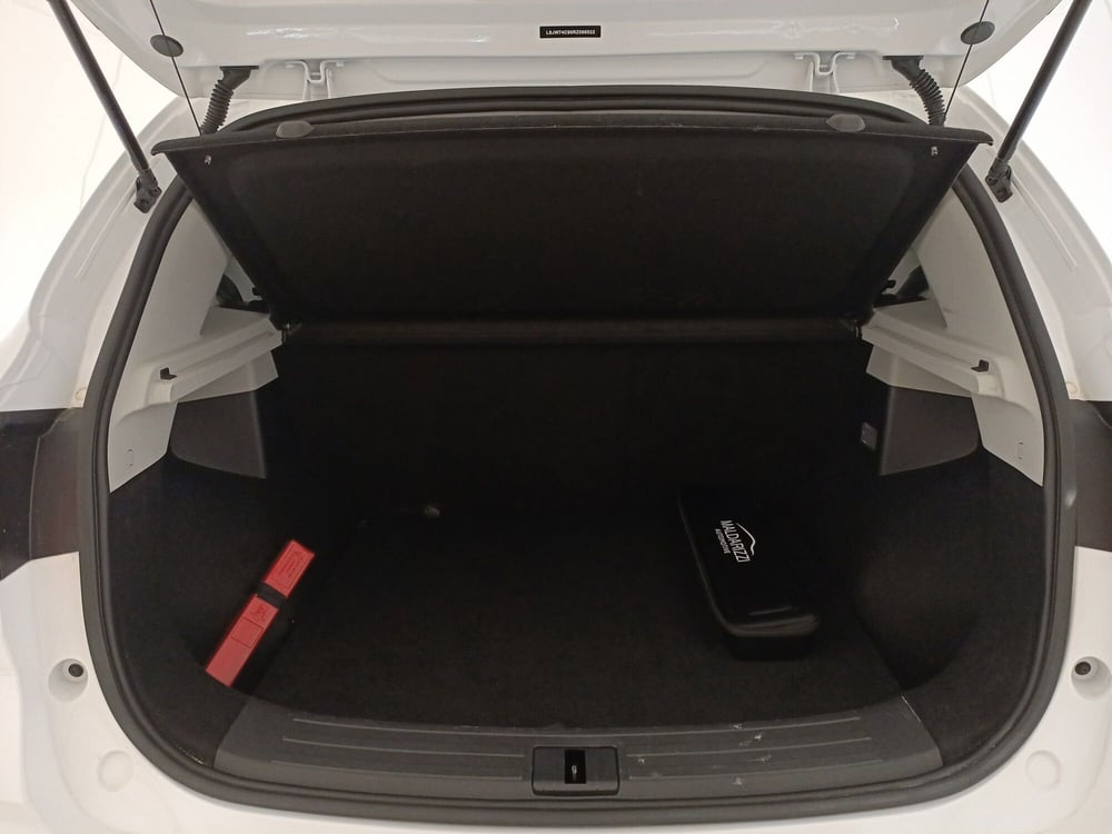Mg ZS usata a Bari (13)