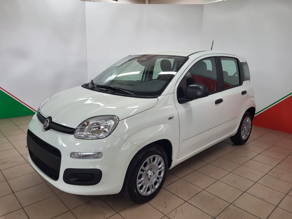 Fiat Panda nuova a Arezzo
