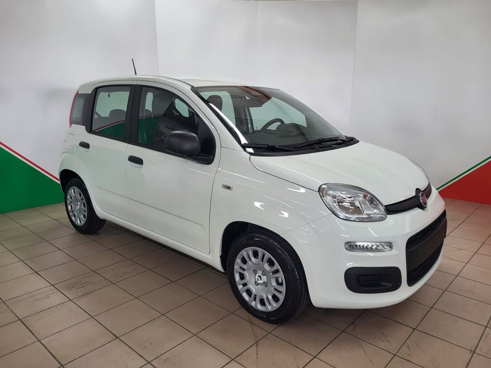 Fiat Panda nuova a Arezzo (2)