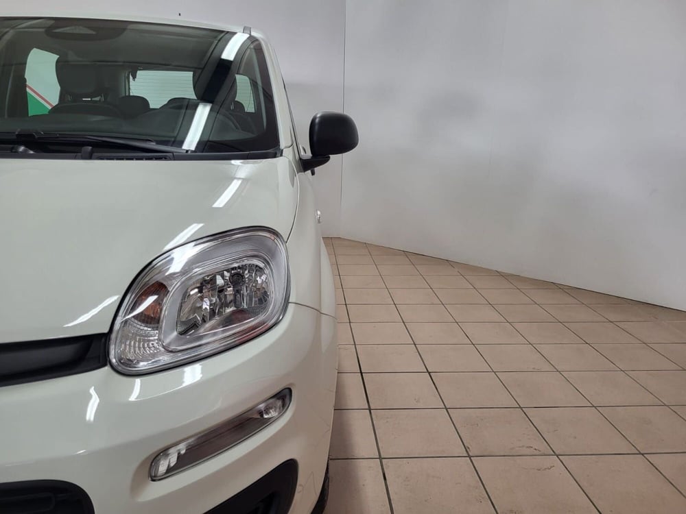 Fiat Panda nuova a Arezzo (3)