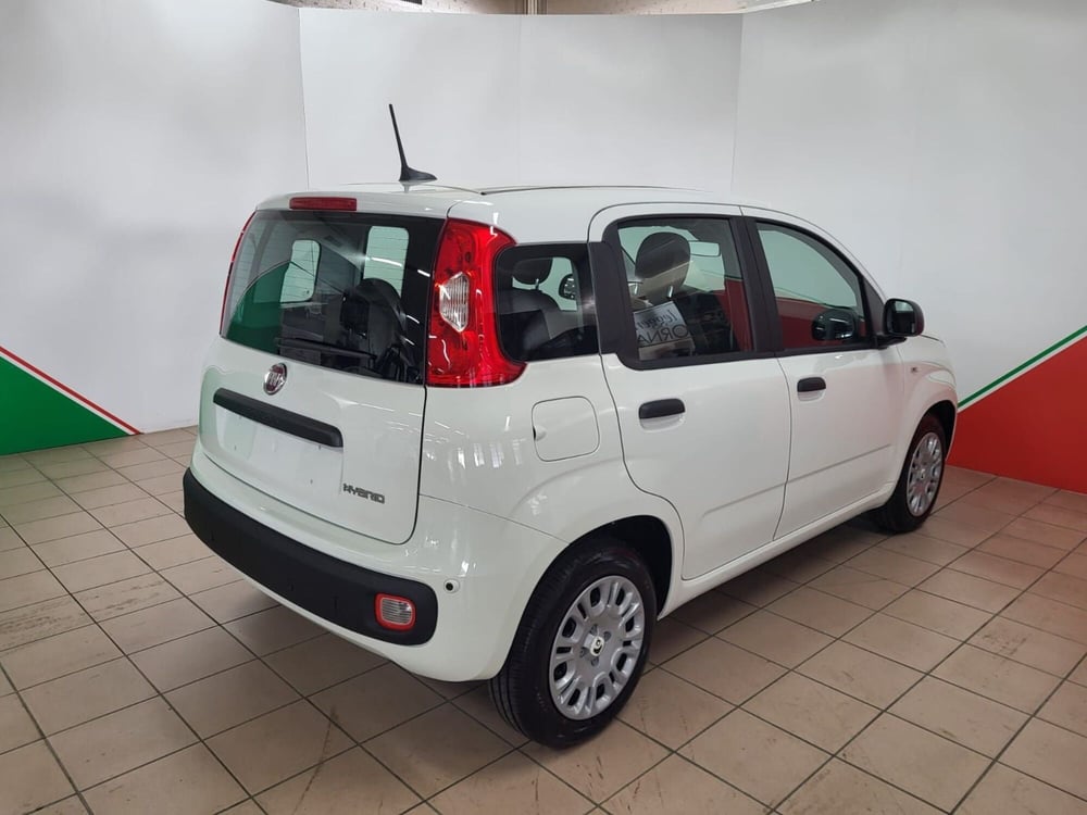 Fiat Panda nuova a Arezzo (5)