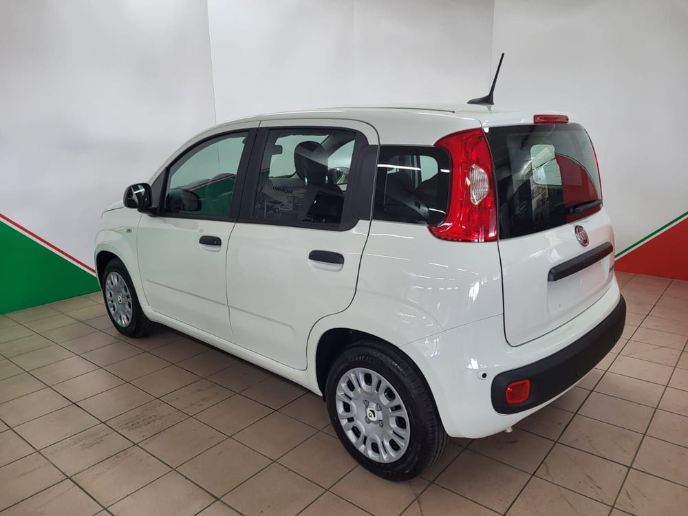 Fiat Panda nuova a Arezzo (7)