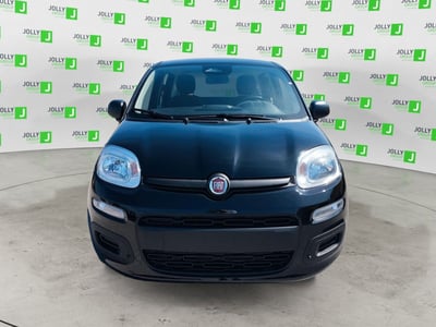 Fiat Panda 1.0 FireFly S&amp;S Hybrid City Cross nuova a Ceccano