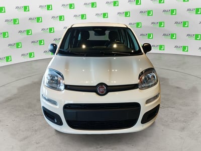 Fiat Panda 1.0 FireFly S&amp;S Hybrid City Cross nuova a Ceccano