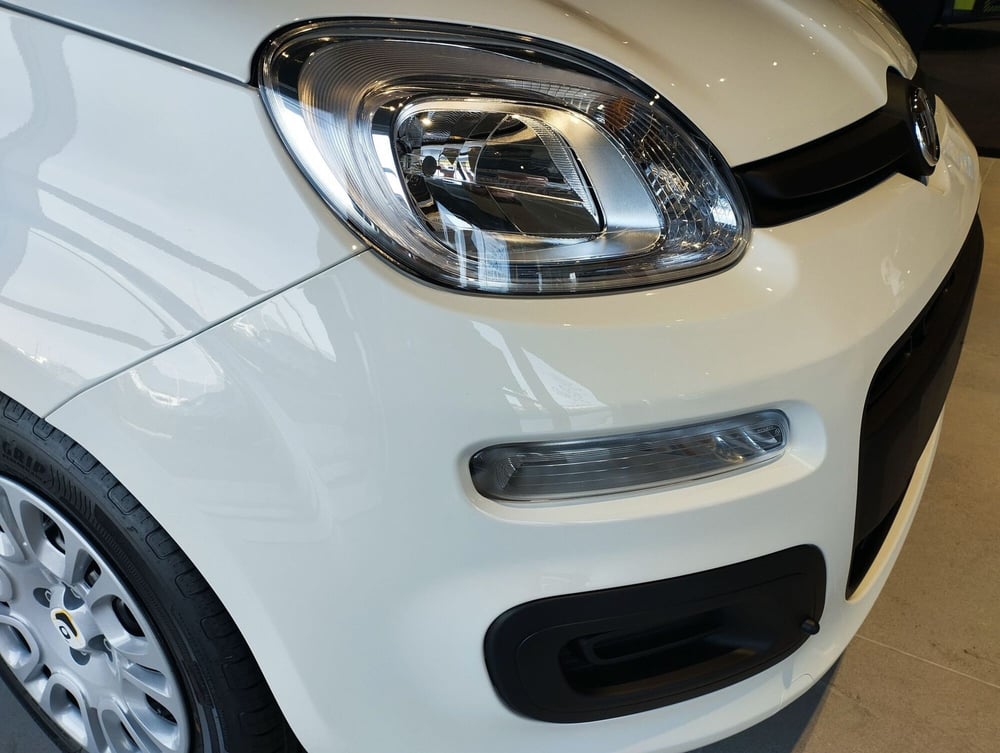 Fiat Panda nuova a Frosinone (15)
